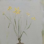 Untitled ,9 from the serie Conection