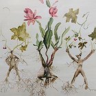 Untitled ,7 from the serie Conection