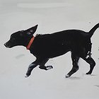Run 4